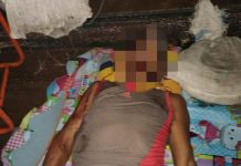 Sadis, Kelompok Teroris OPM Bunuh 5 Warga Sipil di Kampung Bingki