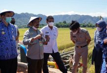 Menteri Pertanian, Syahrul YL: Indonesia Surplus Beras