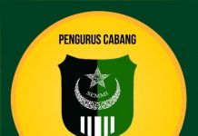 Peduli Pendidikan, SEMMI Barru Kerjasama Intitut Parahikma Indonesia Webinar Sosialisasi Beasiswa Luar Negeri