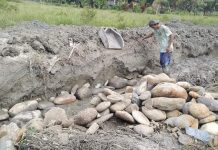 Bersumber dari Dana APBD PEN Sulsel, Proyek Irigasi Senilai Rp16 Milyar Amburadul di Lutra