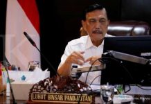 Luhut Apresiasi Peningkatan Testing dan Tracing COVID-19 di Daerah