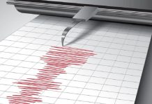 BMKG Catat Terjadi Gempa 5 Magnitudo di Laut Seram Maluku