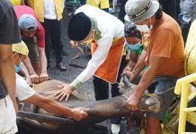 Sembelih Hewah Kurban, Ketua DPD I Golkar Sulsel TP: Salurkan kepada yang Berhak