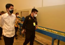 Mentan SYL Tinjau Industri Porang di Madiun