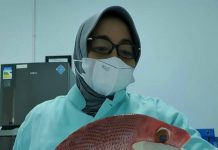 Kepala BKIPM Makassar, Hingga Juli 2021 Ekspor Ikan Sulsel Capai 14.053 Ton