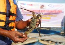 Biak Numfor Ekspor Perdana Komoditas Produk Perikanan ke Singapura