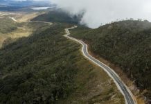 UNESCO dan NGO Desak Pemerintah Indonesia Tutup Jalan Trans Papua