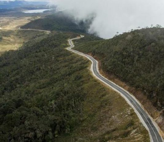 UNESCO dan NGO Desak Pemerintah Indonesia Tutup Jalan Trans Papua