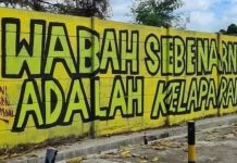 Politisi, Mahasiswa dan LSM Mati Suri Era Jokowi, PPI: Munculan Aktivis Mural