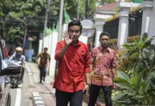 Disebut Bakal Maju Calon Gubernur DKI Jakarta, Djarot: Gibran Fokus di Solo Saja!