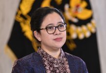 BG Temui Jokowi Bahas Prabowo, Pengamat: Nasib Puan Makin Tidak Jelas di Pilpres