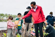 Di Bengkalis, Presiden Jokowi Bersama Warga Tanam Mangrove