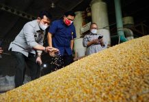 Catatan Mentan SYL, Stok dan Pasokan Jagung Nasional Masih Aman dan Terkendali