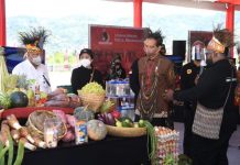 Bangun Papua Youth Creative Hub, Presiden: Pusat Pengembangan Talenta Papua Presiden Joko Widodo