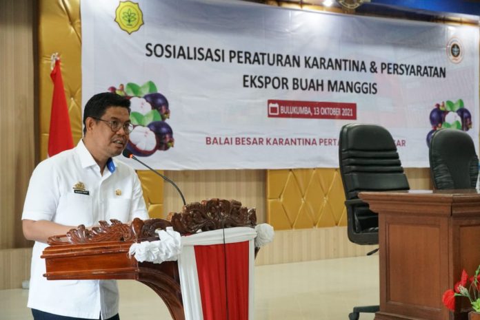 FOTO: Wakil Bupati Bulukumba Andi Edy Manaf hadiri sosialisasi tanaman manggis bersama Balai Besar Karantina Pertanian (BBKP) Makassar menggelar sosialisasi Peraturan Karantina Pertanian dan Persyaratan Ekspor Buah Manggis. Rabu (13/10/2021).