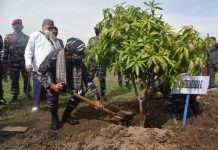 Pangkoarmada II Laksanakan Kunker Di Kimal Grati Pasuruan FOTO: Pangkoarmada II Laksamana Muda TNI Dr Iwan Isnurwanto, SH, MAP, M.Tr.(Han) Bibit Mangga Merah Garifta khas Pasuruan. Sabtu, 30 Oktober 2021