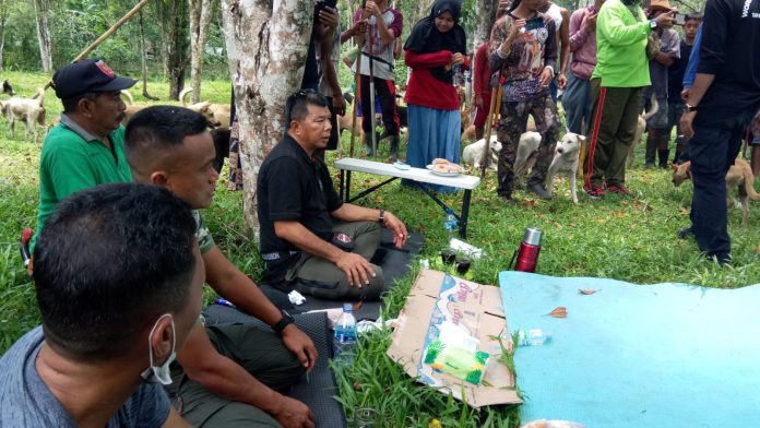 Bikin Resah Petani, Bupati dan Dandim 1411Bulukumba Terjun Langsung Berburu Hama Babi