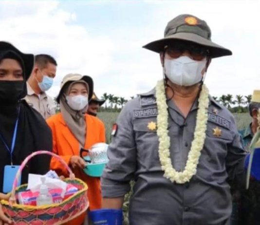 Mentan Kunjungi Sentral Produksi Nanas di Desa Tangkit, SYL: Perlunya Pengembangan di Hulu Hingga Hilir FOTO: Menteri Pertanian (Mentan) Syahrul Yasin Limpo atau SYL kunjungi desa sentral produksi nanas di Desa Tangkit Baru, Kecamatan Sungai Gelam, Kabupaten Muaro Jambi. Sabtu, (6/11)