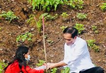 Presiden Jokowi Tanam Pohon Bersama Masyarakat Lombok Tengah, Lanjut ke Papua FOTO: Presiden Joko Widodo melakukan penanaman pohon bersama masyarakat, di Kawasan Hutan Gunung Pepe, Kabupaten Lombok Tengah, NTB, Sabtu (13/11/2021) pagi. (Foto: BPMI Setpres)