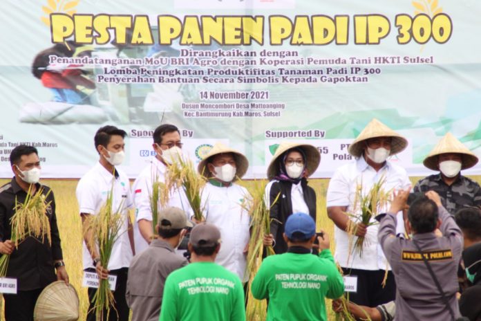 FOTO: Ketua umum pemuda tani HKTI Rina Sa'adah dan Ketua Pemuda Tani HKTI Sulsel Rachmat Sasmito bersama bupati Maros hadiri pesta panen yang berlokasi di Kecamatan Bantimurung desa Mattoanging Kabupaten Maros, Ahad 14/11/2021.