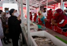 Puji Olahan Laut UMKM Banyuwangi, Puan Minta Upayakan Hilirisasi Tangkapan Nelayan FOTO: Ketua DPR RI Dr. (H.C) Puan Maharani ketika berkeliling di kawasan Kampung Mandar, Pantai Boom Marina, Banyuwangi, Jawa Timur, Jumat (12/11/2021). Foto: Bonis/Man
