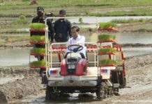 Stok Mencukupi, Presiden: Tahun 2021 Indonesia Belum Pernah Impor Beras FOTO: Presiden Jokowi mengendarai mesin tanam padi, di Trenggalek, Jatim, Selasa (30/11/2021) siang. (Sumber: Tangkapan Layar)