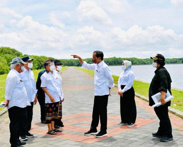 FOTO: Presiden Joko Widodo dan Ibu Negara Iriana Joko Widodo meninjau Mangrove Conservation Forest, di Pemogan, Denpasar Selatan, Kota Denpasar, Kamis (02/12/2021). (Foto: BPMI Setpres/Laily Rachev)