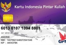 Ada 2.013 Perguruan Tinggi Swasta di Indonesia Terima Program KIP Merdeka, PTN Hanya 122 Ilustrasi Kartu Indonesia Pintar (KIP)