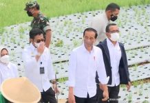 Presiden Jokowi Bersama Para Petani, Melakukan Penanaman Bawang Merah di Temanggung Presiden Joko Widodo saat akan melakukan kegiatan penanaman bawang merah bersama para petani di Kabupaten Temanggung, Provinsi Jawa Tengah. Selasa, (14/12)