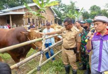 Canangkan Kampung Sapi, Andi Utta Siap Fasilitasi Modal Bagi Peternak di Perbankan Pencanangan Kampung Sapi ini dipusatkan di Desa Salassae Kecamatan Bulukumpa oleh Bupati Muchtar Ali Yusuf, Selasa 28 Desember 2021.