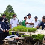 Gunakan Transplanter, Bupati Andi Utta Tanam Perdana Padi untuk Ujicoba Pupuk Hayati Bupati Andi Utta Tanam Perdana Padi untuk Ujicoba Pupuk Hayati. Rabu, (29/12)