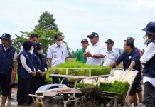 Bupati dan Wabup, Berharap Periode Berikutnya dapat Mengubah Pola Pikir Masyarakat Agar Ekonomi Lebih Tinggi di Bulukumba Bupati Andi Utta Tanam Perdana Padi untuk Ujicoba Pupuk Hayati. Rabu, (29/12)