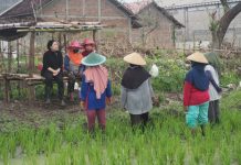 Puan Maharani Minta Pemerintah Kendalikan Harga Bahan Pokok Ketua DPR RI Dr. (H.C) Puan Maharani. Foto: Istimewa/Man