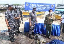 TNI AL Ringkus Penangkap dan Penyelundupan Penyu Hijau di Perairan Pangkalan Utama TNI Angkatan Laut (Lantamal) V jajaran Koarmada II, Ringkus Penangkap dan Penyelundupan Penyu Hijau di Perairan. Kamis, (30/12)