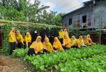Nurul Hidayat, Ajak Ibu-ibu Manfaatkan Lahan Kosong, Dikunjungi Wakil Walikota Makassar Anggota DPRD kota Makassar Ir. Hj. Nurul Hidayat dari Fraksi Golkar melakukan pembinaan kepada ibu-ibu dari Kelompok Wanita Tani (KWT), Kelurahan Parang Tambung, Kecamatan Tamalate. Jumat, (7/1)