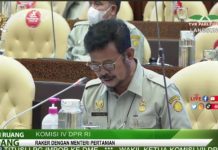 LIVE Komisi IV DPR RI Rapat Kerja dengan Menteri Pertanian RI Komisi IV DPR RI Rapat Kerja dengan Menteri Pertanian RI, Senin, (24/1)