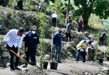 Presiden Jokowi Melakukan Kegiatan Penanaman Pohon Bersama Masyarakat di Humbang Hasundutan Presiden Jokowi melakukan kegiatan penanaman pohon bersama masyarakat di Humbang Hasundutan, Sumut, Kamis (03/02/2022). (Foto: BPMI Setpres/Laily Rachev)