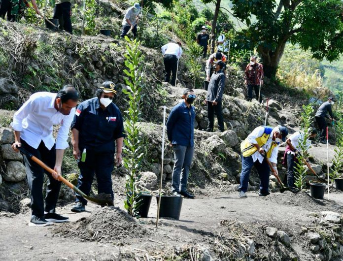 Presiden Jokowi melakukan kegiatan penanaman pohon bersama masyarakat di Humbang Hasundutan, Sumut, Kamis (03/02/2022). (Foto: BPMI Setpres/Laily Rachev)