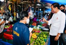 Presiden Jokowi Berikan Bantuan Tunai Rp 1.2 Juta bagi Pedagang di Pasar Induk Sidikalang Kabupaten Dairi Presiden Jokowi saat memberikan bantuan langsung tunai bagi salah satu pedagang di Pasar Induk Sidikalang, Kabupaten Dairi, Sumatera Utara, Kamis (03/02/2022). (Foto: BPMI Setpres/Laily Rachev)
