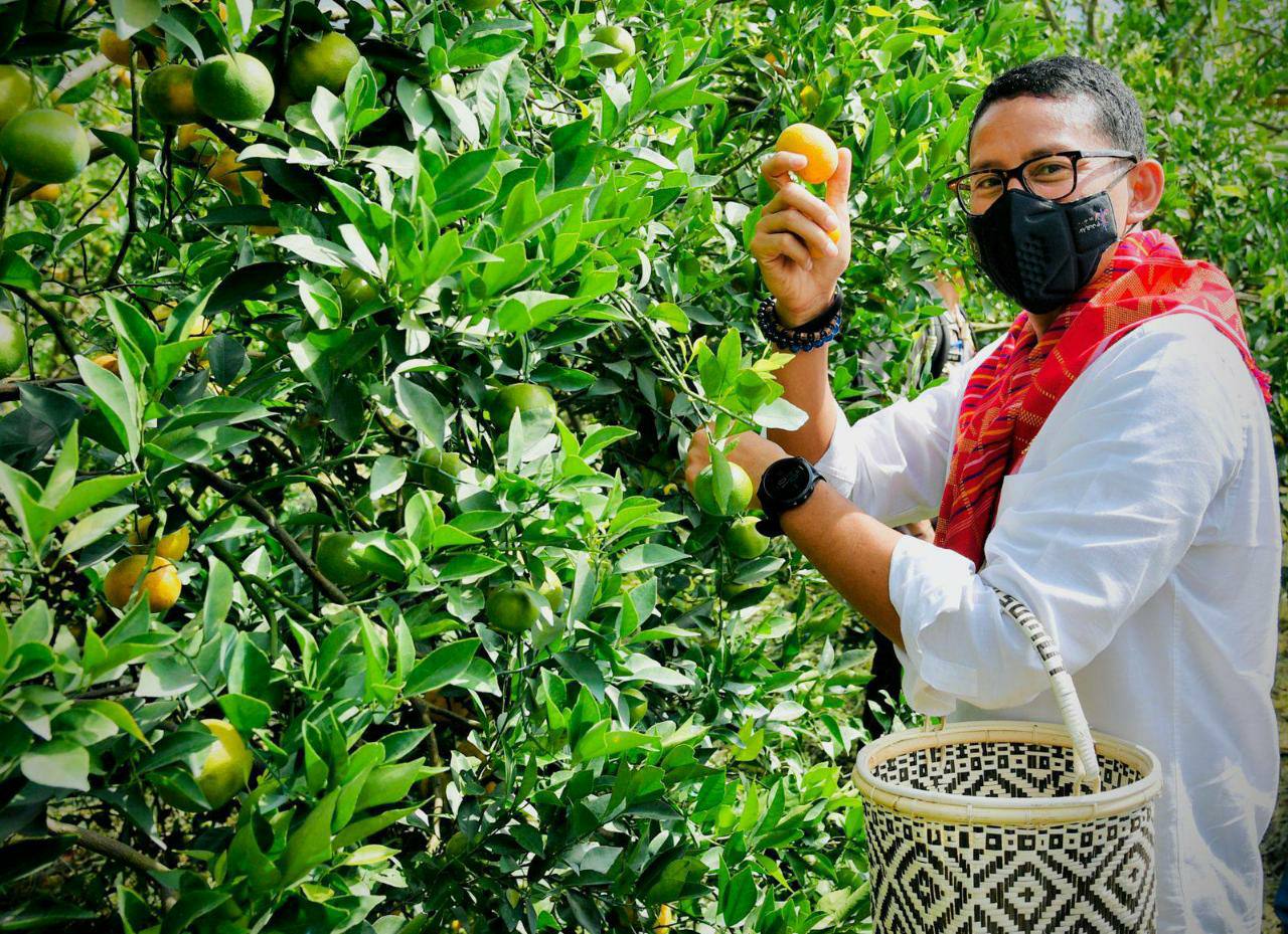 Menteri Pariwisata dan Ekonomi Kreatif Sandiaga Uno, di Kampung Jeruk, Kabupaten Karo, Provinsi Sumatra Utara, Jumat (04/02/2022). (Foto: BPMI Setpres/Laily Rachev)