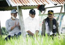 Mentan ke Kapolres, Tangkap Distributor Pupuk yang ‘Nakal’ di Bulukumba Kiri Andi Edy Manaf Wabup, Muchtar Ali Yusuf Bupati Bulukumba (Tengah) dan Menteri Pertanian Syahrul Yasin Limpo ditengah area persawahan. Ahad, (6/2)