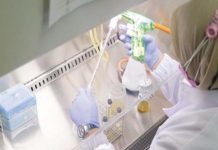 BPOM Terbitkan Izin Uji Klinis Vaksin Merah Putih Petugas laboratorium sedang meneliti vaksin merah putih, (Dok/Jawa Pos)