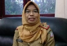 Warga Pulau Tidak Terima Bansos, Kadinsos Pangkep: Harap Pemdes Aktif Memberi Data Terbaru Warga Kepala Dinas Sosial Pangkep, Hj Najemiah (Properti Tribun)