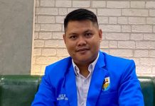 Isu Reshuffle, Waketum KNPI Dukung Presiden Evaluasi Menteri yang Tidak Produktif