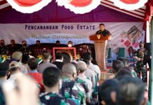 Untuk Peningkatan Kesejahteraan Masyarakat dimasa Pandemi, Pangdam XIV Hasanuddin Launching Food Estate Kodam XIV Hasanuddin, melaunching program ini dengan penanaman bibit jagung Betras 9 Hibrida, di Desa Poleonro, Kecamatan Libureng, Kabupaten Bone, Sabtu (26/3/2022).