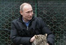 AS Bakal Tidak Hadiri G20 di Indonesia Jika Diikuti Rusia Presiden Rusia Vladimir Putin