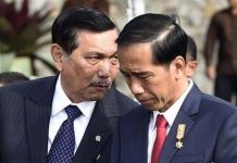 Presiden Hentikan Ekspor CPO, Arief Poyuono: Jangan Sampai LBP Turun Gunung FOTO: Presiden Joko Widodo dan Menko Maritim dan Investasi Luhut Binsar Pandjaitan/Net