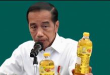 Mendag Bagi Migor Kampanyekan Anak, Presiden Tegur Zulhas FOTO: Presiden Joko Widodo atau Jokowi