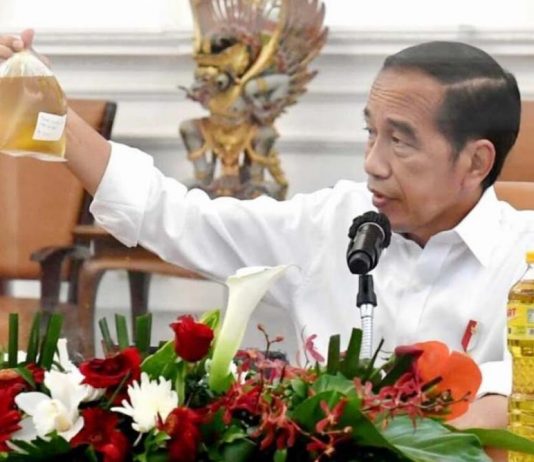Larangan Ekspor Migor Buat Masyarakat Bingung, Diluruskan Airlangga FOTO: Presiden Joko Widodo atau Jokowi