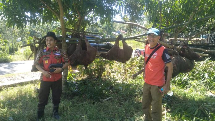 FOTO: Tim Pemburu Hama Babi Pemkab Bulukumba